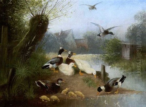 Enten Am Dorfbach Oil Painting by Otto Scheuerer