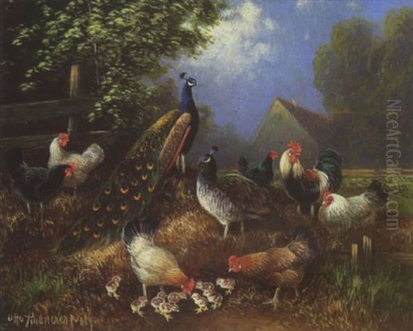 Pfau, Pfauhenne, Hahn, Huhner Und Kuken by Otto Scheuerer