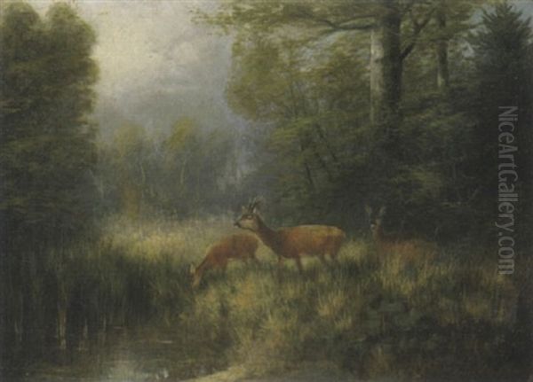 Rehe Am Waldweiher Oil Painting by Otto Scheuerer