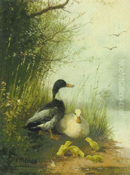 Erpel, Ente Und Kuken Am Seeufer Oil Painting by Otto Scheuerer