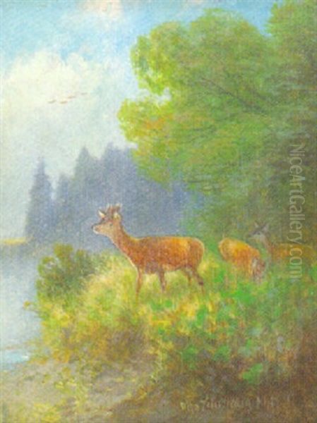 Rehe Am Waldesrand Oil Painting by Otto Scheuerer