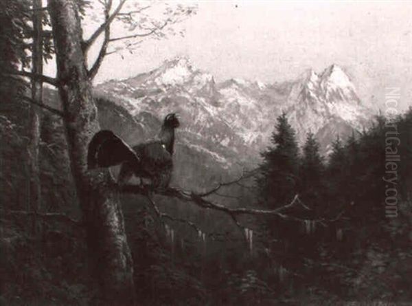 Balzender Auerhahn Auf Einem Zweig In Gebirgslandschaft Oil Painting by Otto Scheuerer