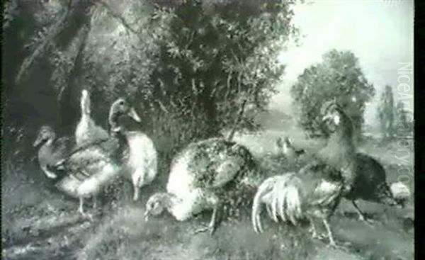 Truthahn, Enten, Hahn Und Huhner Auf Einer Wiese Oil Painting by Otto Scheuerer