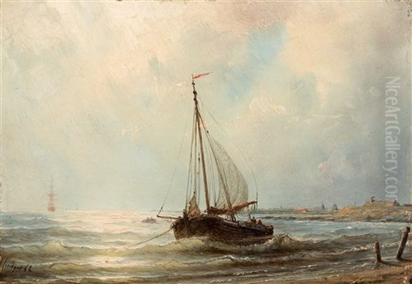 Bomschuit' In The Surf Oil Painting by Petrus Paulus Schiedges the Elder