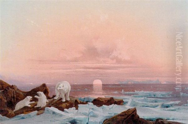 Midnat Ved Oen Starck, Spitzbergen Oil Painting by Franz Wilhelm Schiertz