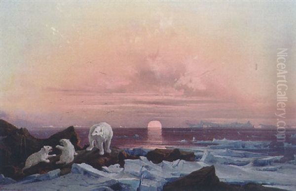 Ours Blancs Sur La Banquise Oil Painting by Franz Wilhelm Schiertz