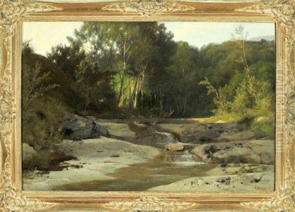 Felsiger Bachlauf In Bewaldeter Landschaft Mit Rehen Oil Painting by Traugott Schiess