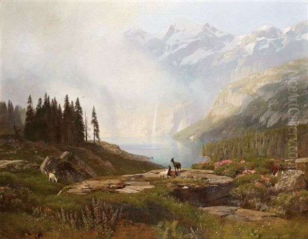 Gamse Im Hochgebirge Oil Painting by Traugott Schiess