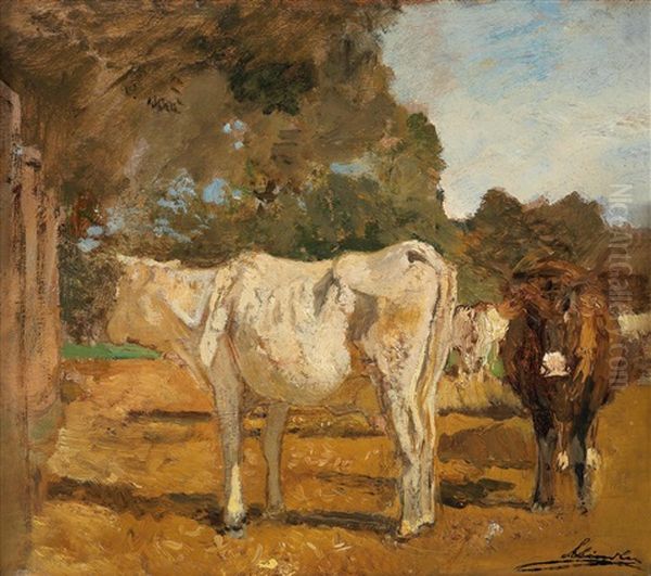 Cows (w/sketch Of A City View, Verso) Oil Painting by Emil Jacob Schindler