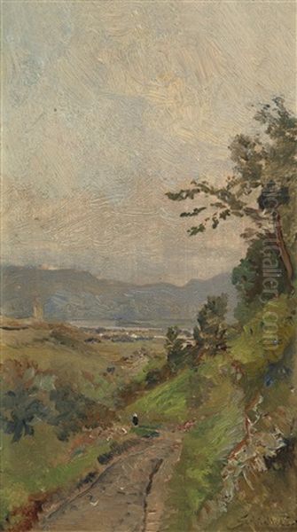 Weisenkirchen An Der Donau Oil Painting by Emil Jacob Schindler