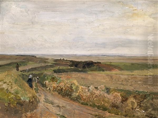 Flachlandschaft Bei Plankenberg Oil Painting by Emil Jacob Schindler