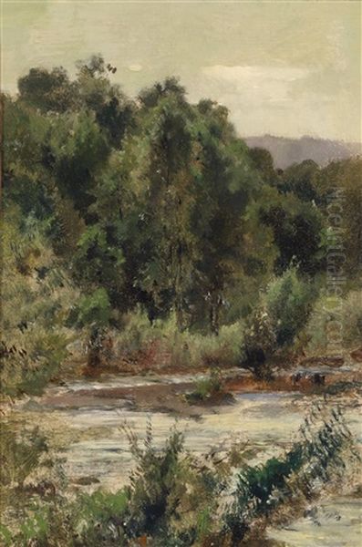 Sommerlandschaft Oil Painting by Emil Jacob Schindler