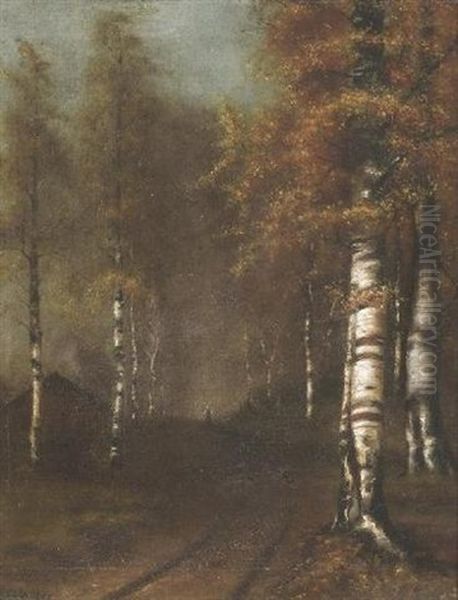 Blick In Einem Herbstlichen Birkenwald Oil Painting by Emil Jacob Schindler