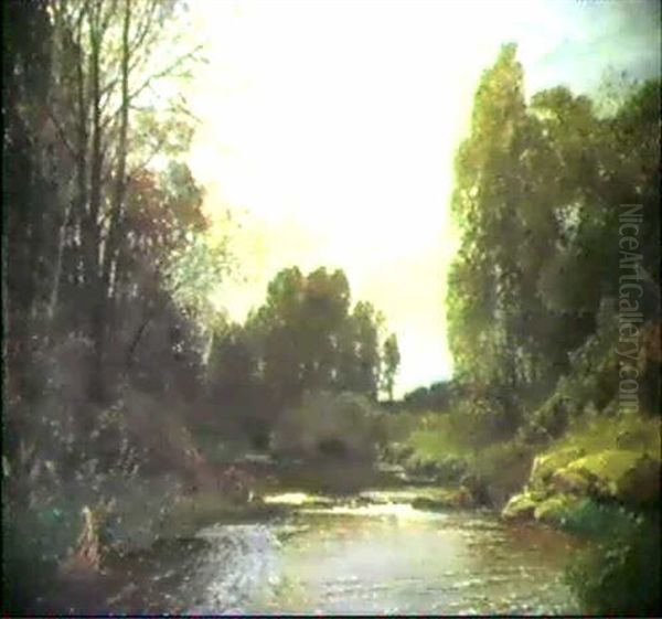 An Der Tulln Bei Plankenberg Oil Painting by Emil Jacob Schindler