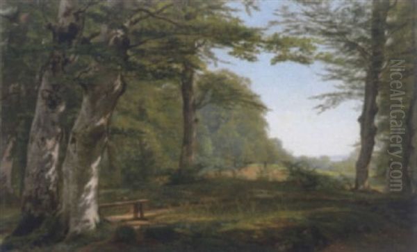 Waldlichtung Im Sonnenlicht Oil Painting by August Heinrich Georg Schiott