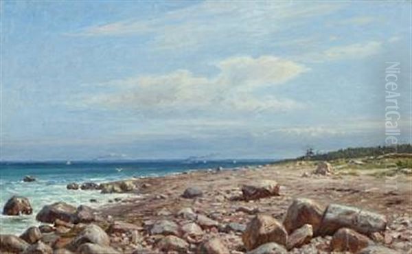 Danish Coast On A Sunny Summer Day With Ships At Sea Oil Painting by Niels Frederik Schiottz-Jensen