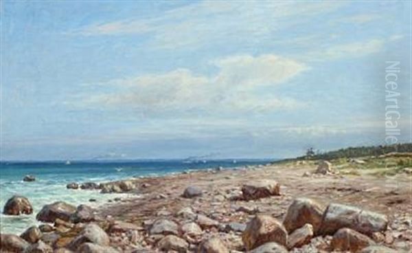 Danish Coast On A Sunny Summer Day With Ships At Sea Oil Painting by Niels Frederik Schiottz-Jensen