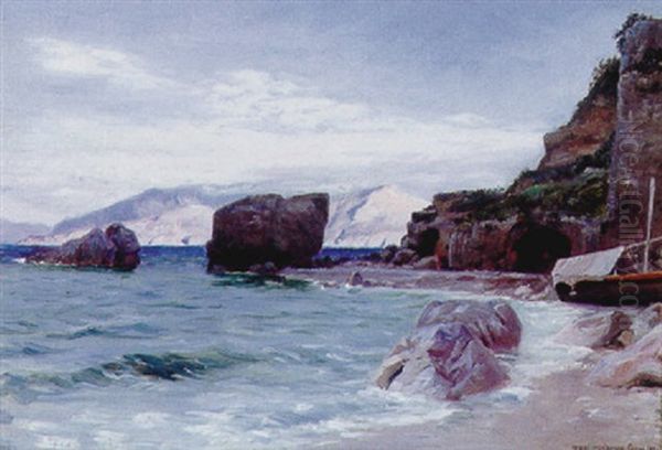 Strandparti, Motiv Fra Capri Oil Painting by Niels Frederik Schiottz-Jensen