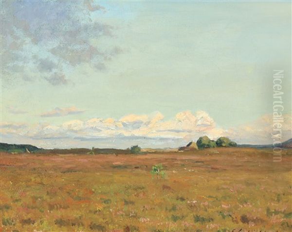 Eftermiddagsstemning Fra Sveibaek, Jylland 1904 Oil Painting by Georg Elias Schjelderup