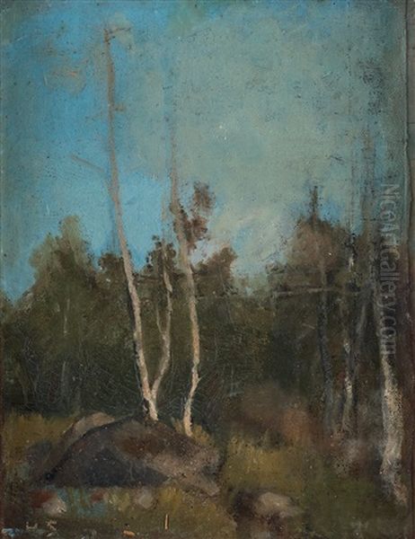 Landskap Med Bjorkar (landscape With Birches) Oil Painting by Helene Sofia Schjerfbeck