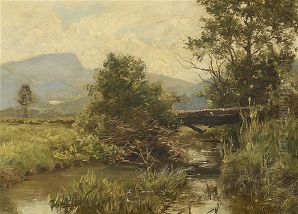 Bachlauf In Vorgebirgslandschaft Oil Painting by Eduard Schleich the Elder