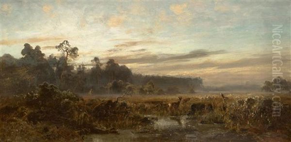 Dachau Bogland With Two Deer In The Early Morning Oil Painting by Eduard Schleich the Younger