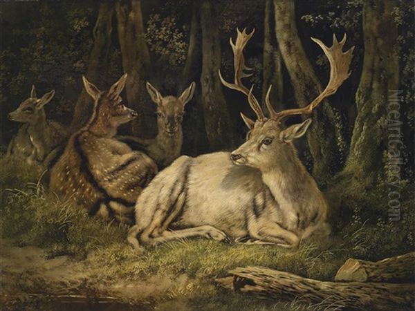 Dammwild Oil Painting by August Schleich