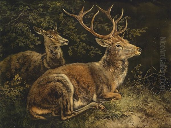 Rotwild Oil Painting by August Schleich