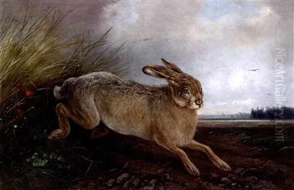 Hase Auf Einem Acker Oil Painting by August Schleich