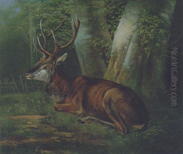 Liegender Hirsch Oil Painting by August Schleich