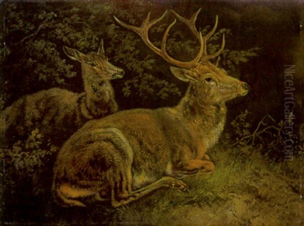 Hirsch Und Hirschkuhe Im Unterholz Oil Painting by August Schleich