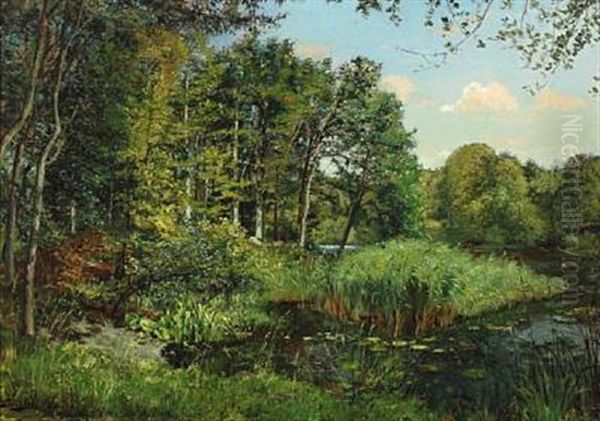 Forest Scenery With Waterlilies And Reed Along The Lakeshore Oil Painting by Karl Peter August Schlichting-Carlsen