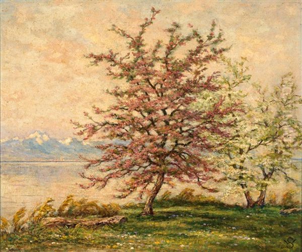 Apfelblute Am Bodensee Mit Blick Auf Das Santis-massiv Oil Painting by Willy Schlobach