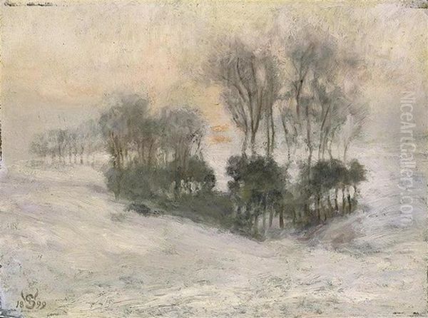 Paysage De Neige Au Soleil Couchant (region De Rhode-saint-genese) by Willy Schlobach