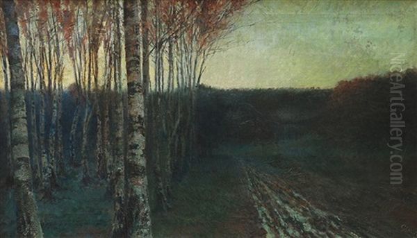 Birch Grove At Dusk Oil Painting by Robert Schlosser