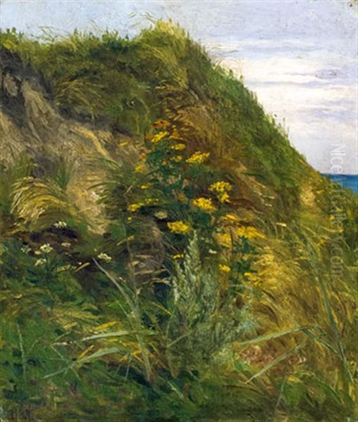 Hohe Dune Auf Fischland Oil Painting by Heinrich Schlotermann