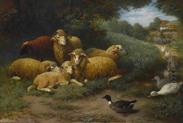 Ruhende Schafe Mit Herannahenden Enten Oil Painting by Friedrich Ferdinand Schmalzigaug