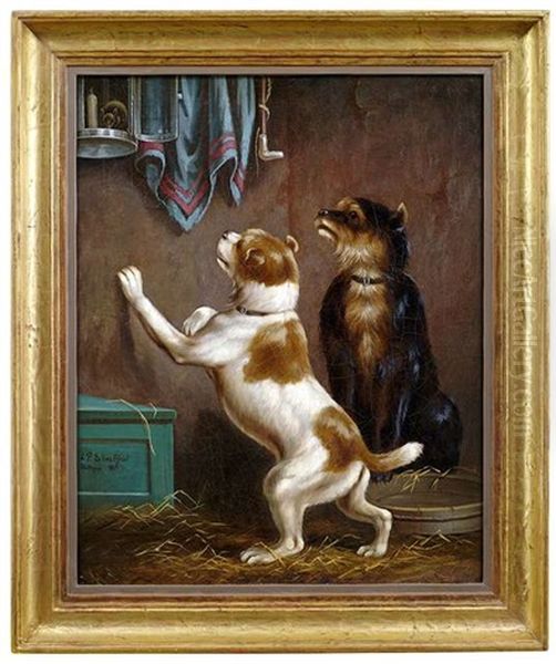 Zwei Hunde Beobachten Neugierig Eine Maus Oil Painting by Paul Schmalzried