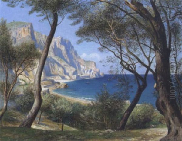 Blick Nach Dem Cap Von Noli Zwischen Olivenbaumen Der Westlichen Riviera Oil Painting by Friedrich Albert Schmidt