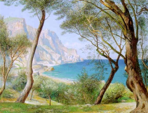 Blick Nach Dem Cap Von Noli, Westliche Riviera Oil Painting by Friedrich Albert Schmidt