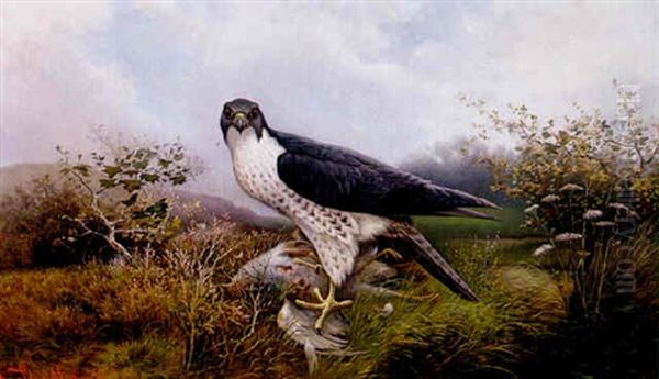 Wanderfalke (falco Peregrinus) Oil Painting by Friedrich Albert Schmidt