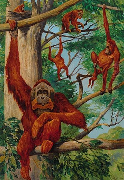 Orang-utans Auf Einem Baum by Hans Schmidt