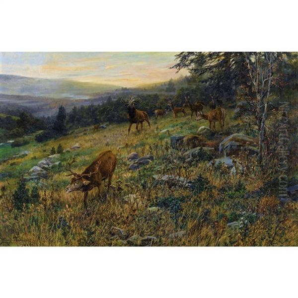 Hirschrudel Am Waldrand Oil Painting by Hans W. Schmidt