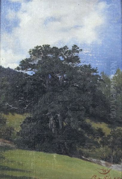 Wiesenhang Mit Steineiche Oil Painting by Wilhelm Schmitt