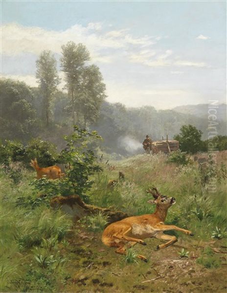 Red Deer Oil Painting by Josef Schmitzberger