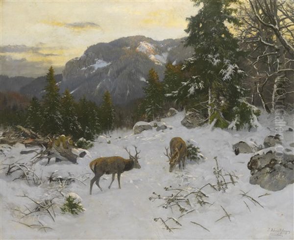 Hirsche Im Winterlichen Gebirge Oil Painting by Josef Schmitzberger