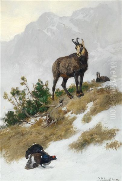 Gemsen Im Gebirge Oil Painting by Josef Schmitzberger