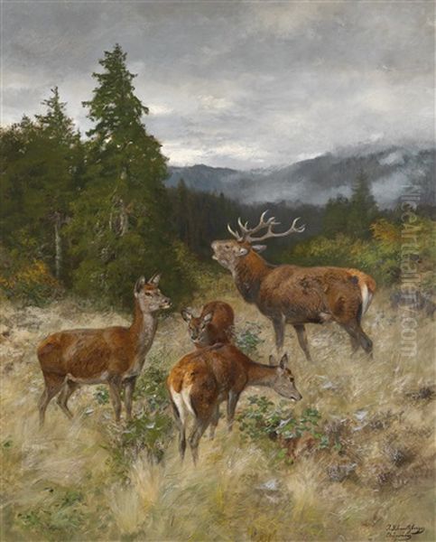 Rotwildrudel Oil Painting by Josef Schmitzberger