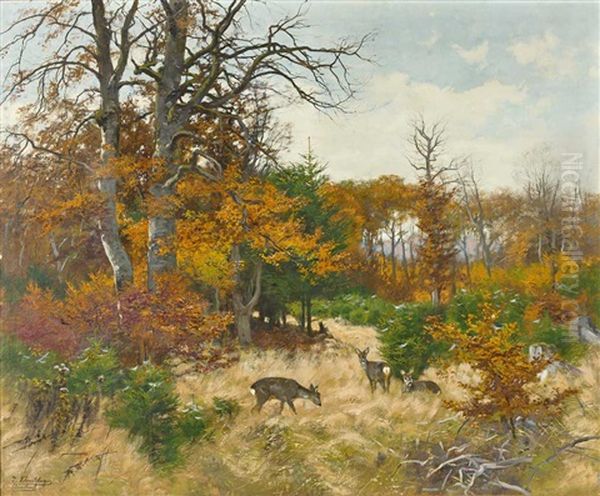 Herbstliche Waldlandschaft Mit Rotwild Auf Lichtung Oil Painting by Josef Schmitzberger