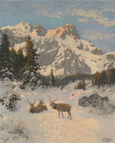 Rastendes Rotwild Vor Winter Alpenkulisse Oil Painting by Josef Schmitzberger